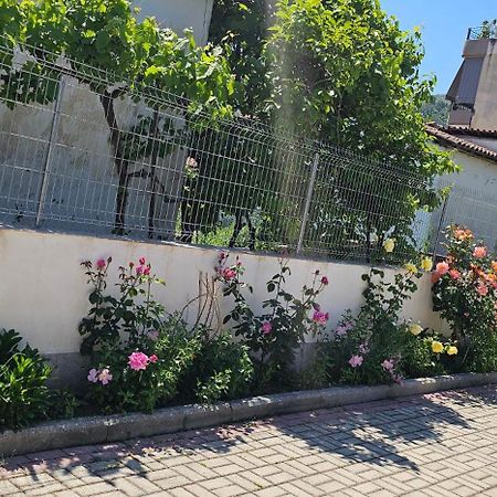 Aliaj Guest House Berat Exterior foto
